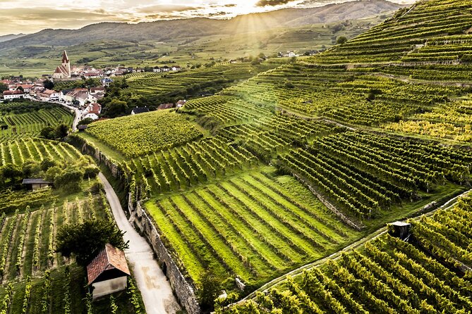 3 Castles & Wine Private Tour in Wachau Valley (incl. Melk Abbey) - Who should book this private day