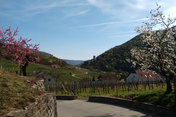 3-Hour Private Hiking Tour to historic places around Spitz in Wachau Valley - Why Spitz makes a fine escape from Vienna