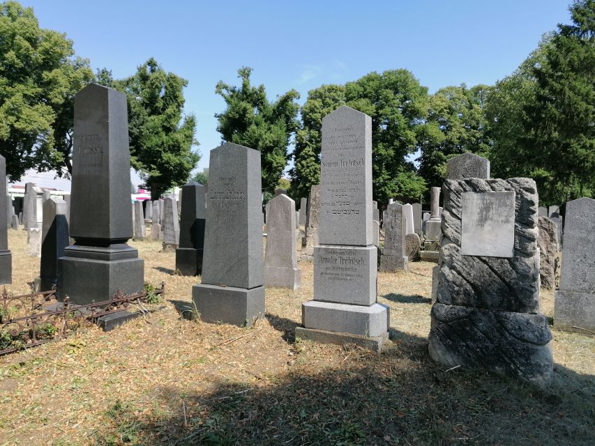 3-Hour Walking Tour of Vienna Central Cemetery - Famous graves and the people behind them