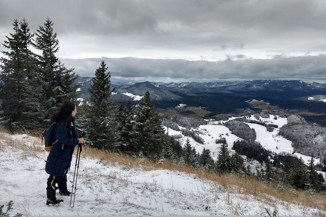 4-Hour Private Alpine Great George at High Wall Mountain from Vienna - Key points at a glance