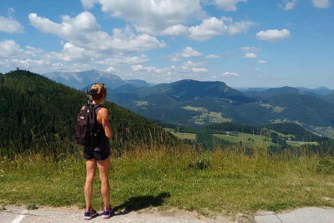 4-Hour Private Alpine Great George at High Wall Mountain from Vienna - Leaving Vienna for Hohe Wand