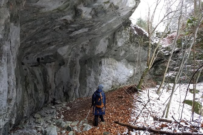 4-Hour Private Alpine Great George at High Wall Mountain from Vienna - A long lunch stop and a careful descent
