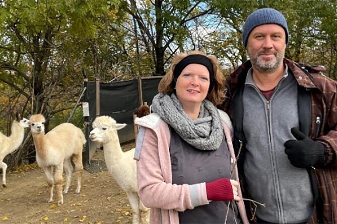 Alpaca and llama hike Moedling near Vienna - Getting acquainted with your alpaca or llama