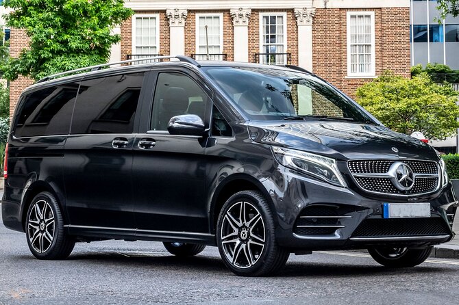 Arrival Private Transfer from Vienna Airport VIE to Vienna City by Luxury Van - Who should book this Vienna transfer