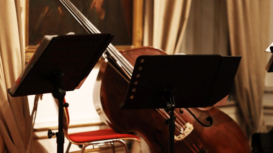 Best of Mozart & Strauss - Mozart begins with sparkle and movement