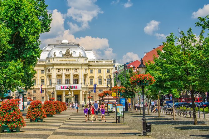 Bratislava Small-Group Day Trip from Vienna with Walk & Lunch - The bus ride to Bratislava