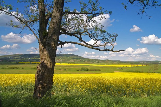 Budapest-Vienna One-Way Sightseeing Transfer - Why this transfer works better than a plain travel day