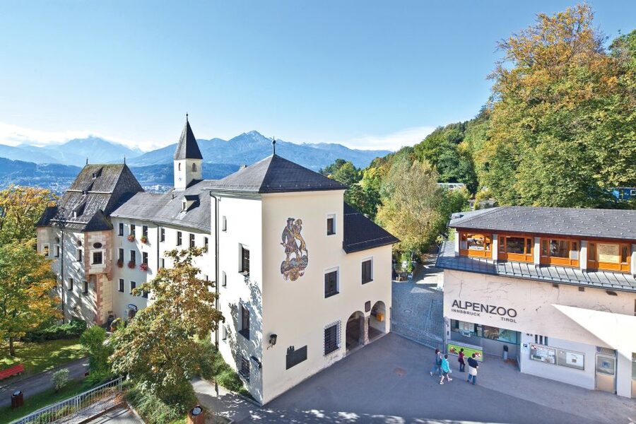 Combi Entrance Ticket to Alpine Zoo and Hungerburg - Why this Innsbruck outing works so well