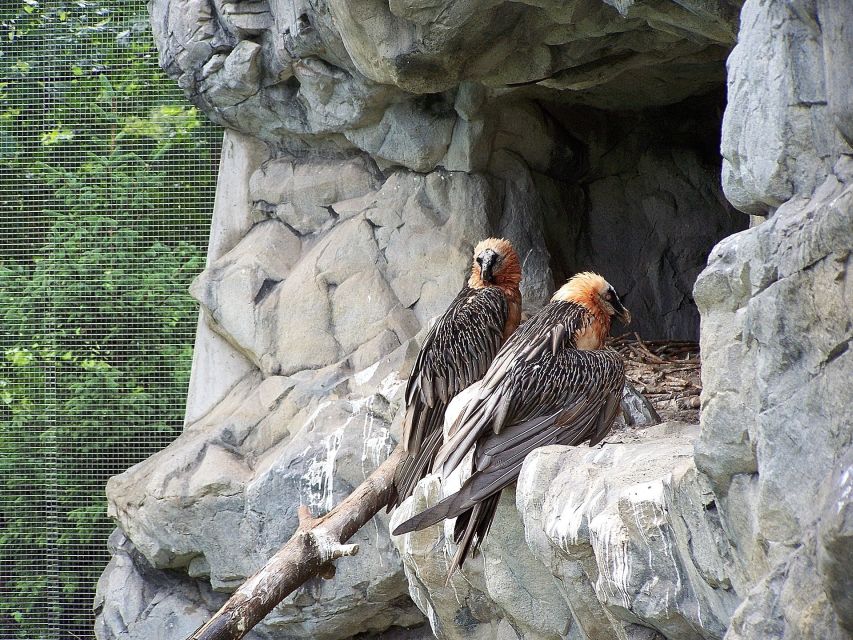 Combi Entrance Ticket to Alpine Zoo and Hungerburg - The value of $27 per person
