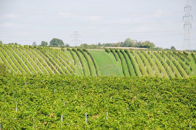 Countryside Half Day Wine Tour near Vienna - Why the small-group format works