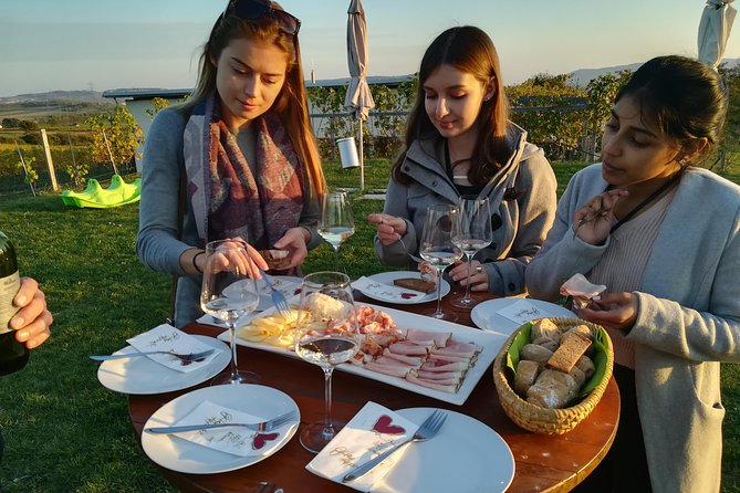 Countryside Half Day Wine Tour near Vienna - How the four hours actually feel
