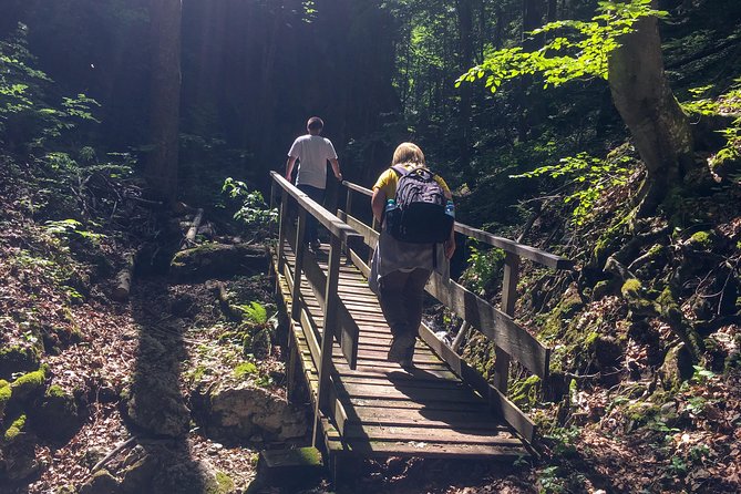 Exploring the Gutenstein Alps - The summit view rewards the uphill work