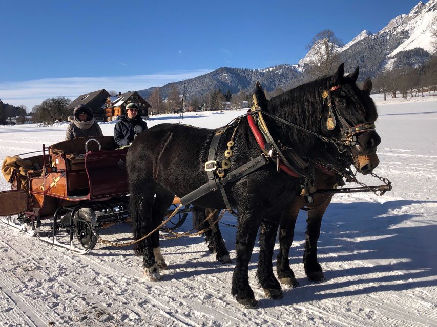 From Salzburg: 8-hour Horse-Drawn Tour w/ 2-hour Sleigh Ride - Key points to know before booking