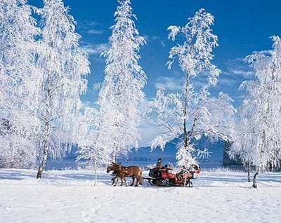 From Salzburg: 8-hour Horse-Drawn Tour w/ 2-hour Sleigh Ride - From Salzburg to the Dachstein foothills