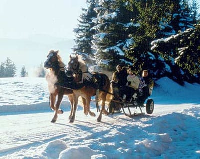 From Salzburg: 8-hour Horse-Drawn Tour w/ 2-hour Sleigh Ride - The two-hour horse-drawn sleigh ride