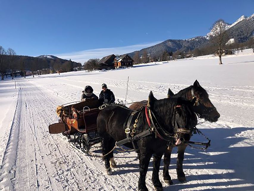 From Salzburg: 8-hour Horse-Drawn Tour w/ 2-hour Sleigh Ride - Clothing, comfort, and weather advice