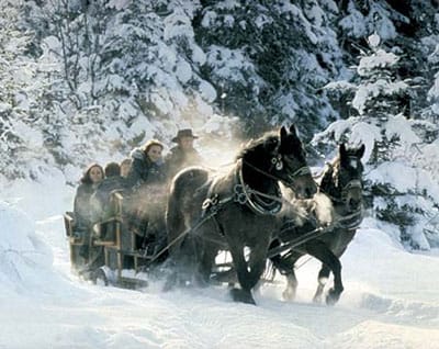 8-hour Horse-Drawn Tour w/ 2-hour Sleigh Ride