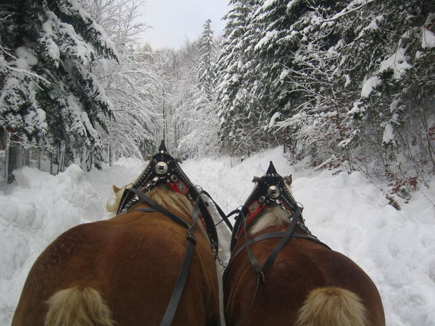 From Salzburg Romantic Carriage Ride through the Countryside - What the weather can change