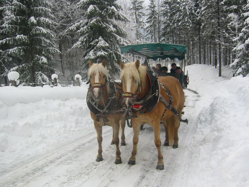 From Salzburg Romantic Carriage Ride through the Countryside - How the private format affects the value
