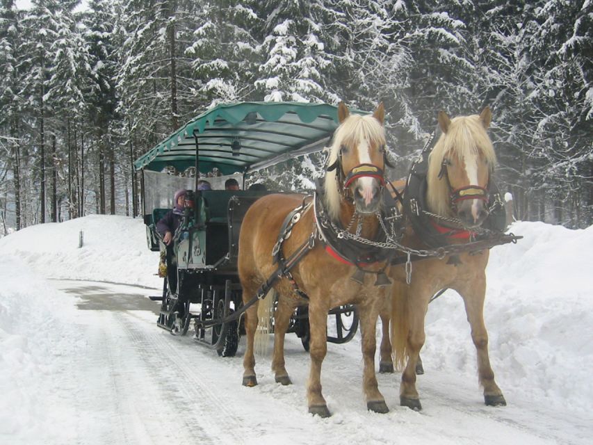 From Salzburg Romantic Carriage Ride through the Countryside - The guide can make the transfer worthwhile