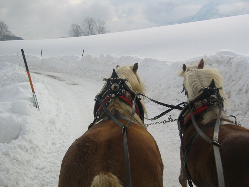 From Salzburg Romantic Carriage Ride through the Countryside - Should you book the Salzburg carriage ride?