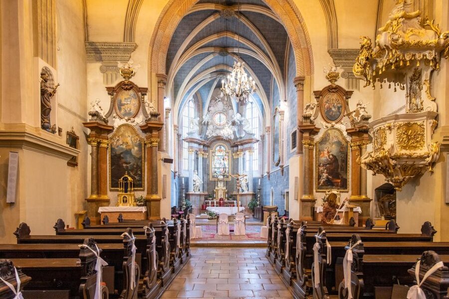 From Vienna: Bratislava Day Trip - Free time for lunch and your own discoveries
