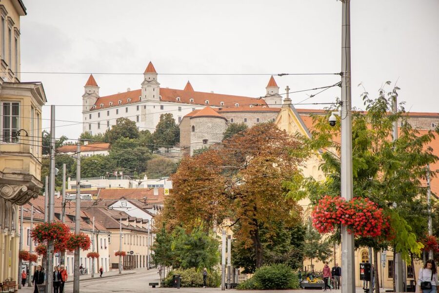 From Vienna: Bratislava Day Trip - What the $123 price really buys you