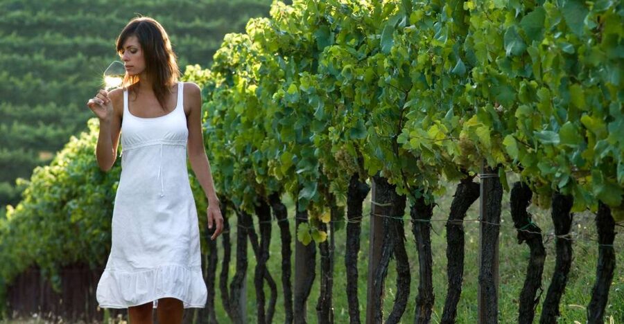 From Vienna: Half-day Countryside Wine Tour with Meal - Key points to know before booking