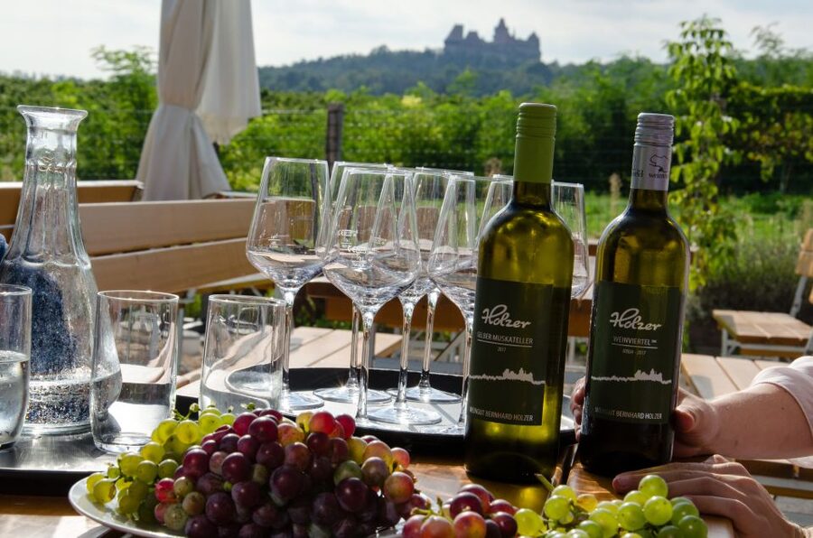 From Vienna: Half-day Countryside Wine Tour with Meal - First winery: four wines and a personal welcome