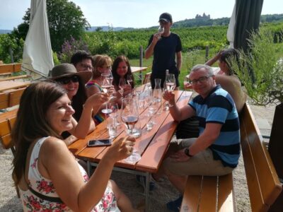Half-day Countryside Wine Tour with Meal