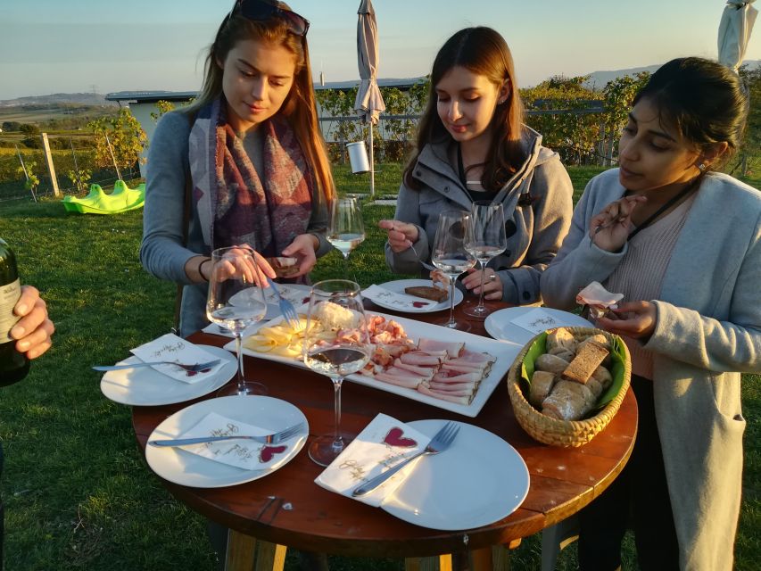 From Vienna: Half-day Countryside Wine Tour with Meal - Finishing with Austrian lunch or dinner