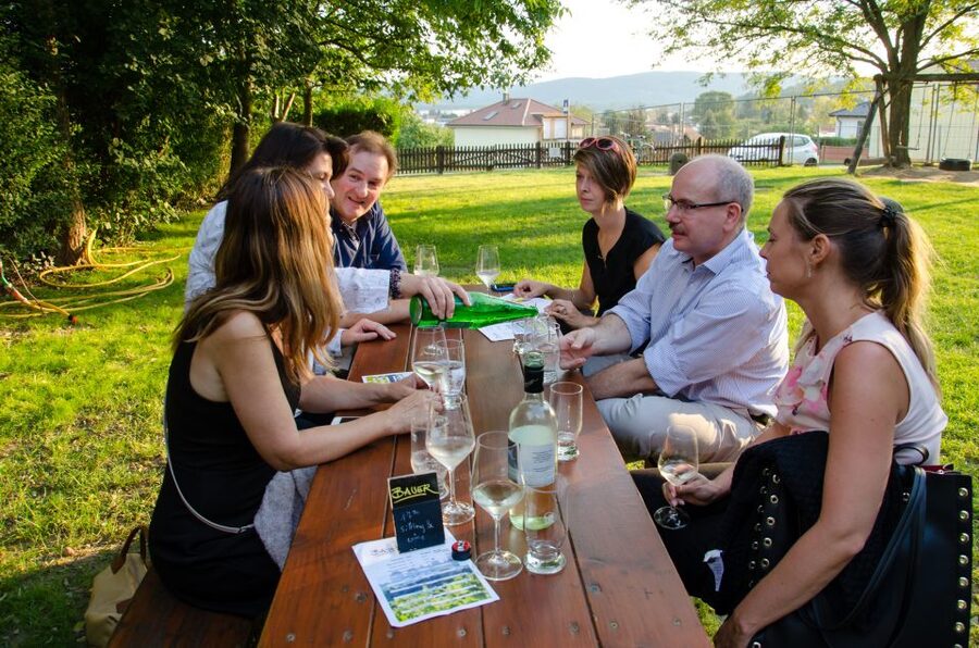 From Vienna: Half-day Countryside Wine Tour with Meal - Who will enjoy this wine tour most?