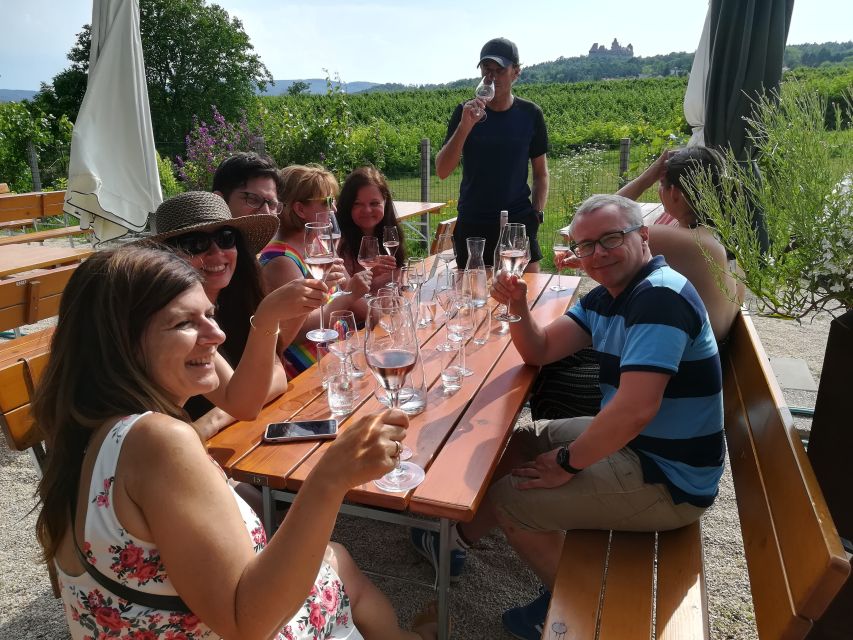 From Vienna: Half-day Countryside Wine Tour with Meal - The minibus ride and central pickup