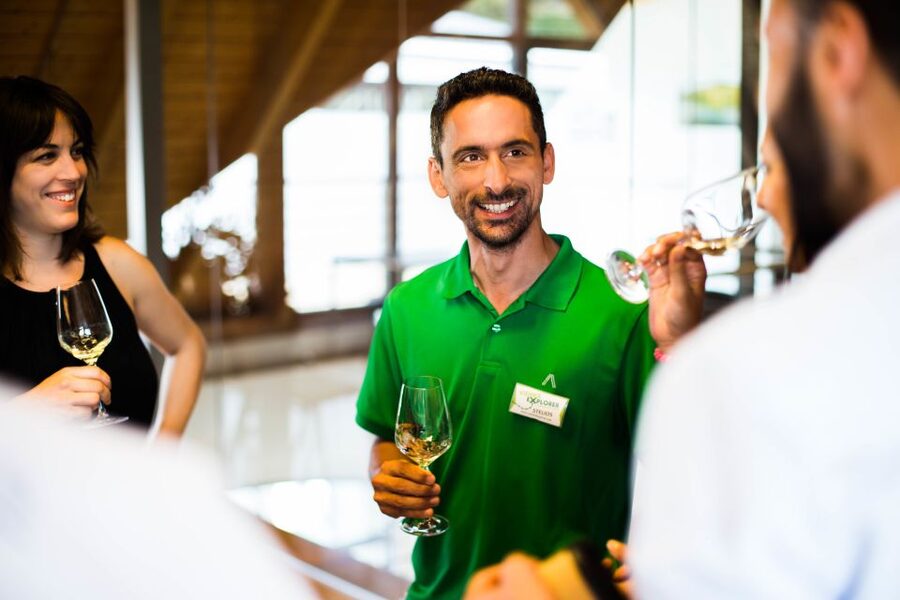 From Vienna: Wachau Valley Day Tour with Wine Tasting - Spitz to Melk by boat