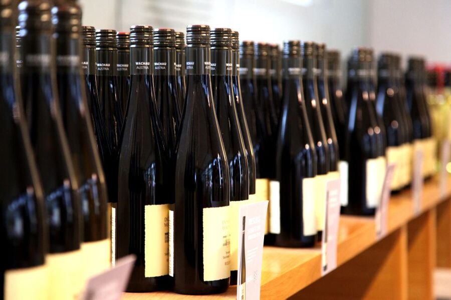 Grape Grazing: Wachau Valley Winery Biking Tour - What the $163 price includes