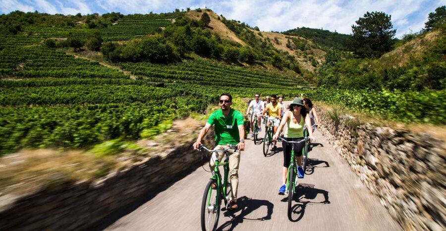 Grape Grazing: Wachau Valley Winery Biking Tour - Why the Wachau Valley works so well by bicycle