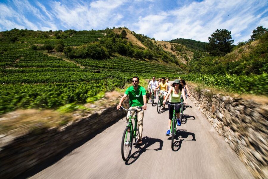 Grape Grazing: Wachau Valley Winery Biking Tour - Krems to Dürnstein, the first ride and tasting