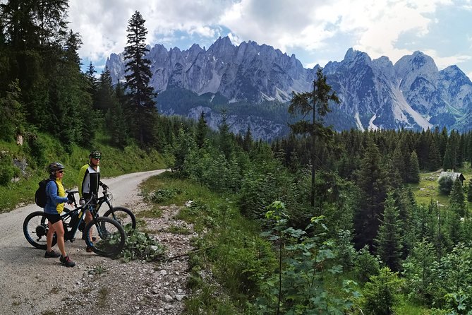 Guided e-bike tour of the alpine pastures in the Salzkammergut - Roßalm, the first hut on the Gosau path