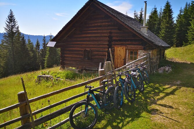 Guided e-bike tour of the alpine pastures in the Salzkammergut - A short look at Hallstatt’s 7,000 years