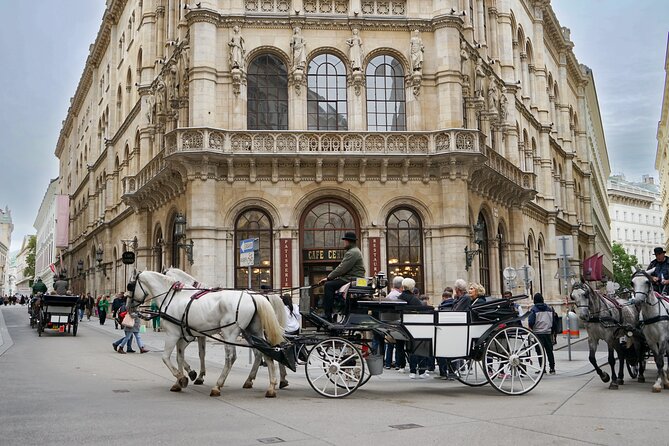 Guided Walking Tour of Vienna City Center Highlights - Albertina Museum from the outside