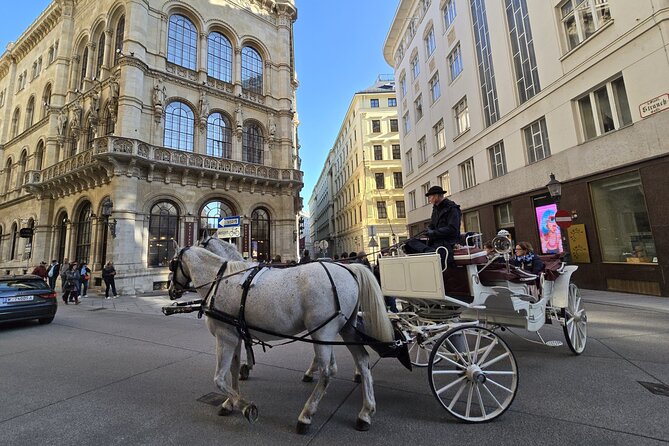 Highlights of Vienna in a Historical & Cultural 3h Walking Tour - A smart first look at Vienna’s old center