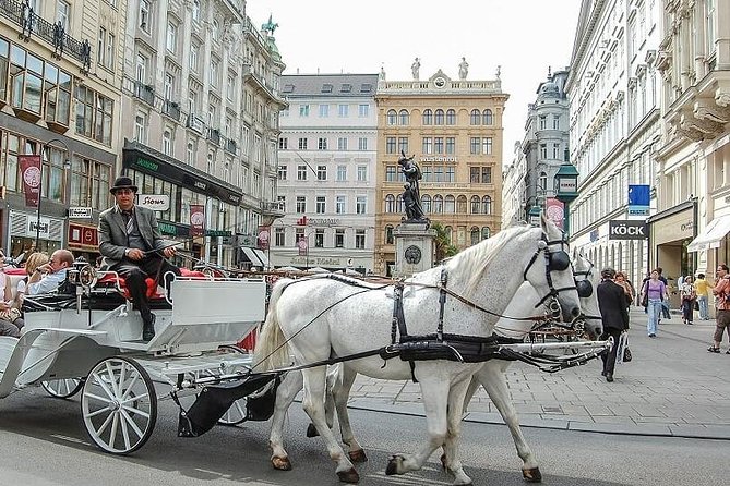 Hofburg Imperial Palace and Sisi Museum Skip the line tour - Volksgarten: finish among Vienna’s formal gardens