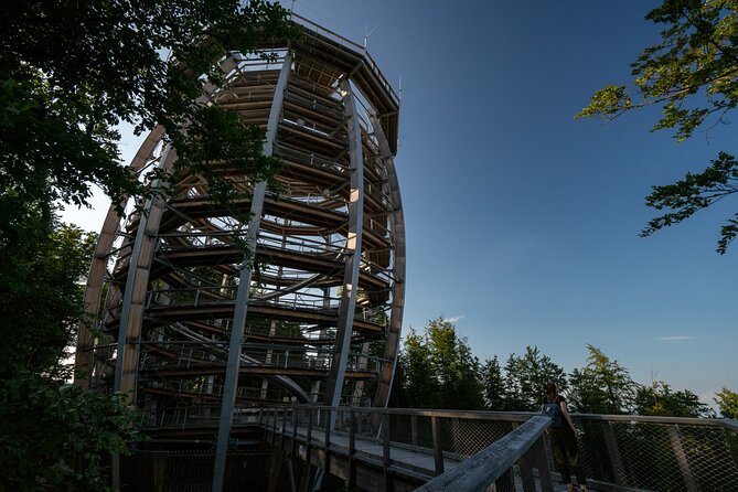 Immersive Private Tour: Hallstatt After the Crowds & Treetop Path - Vienna pickup and the long ride west