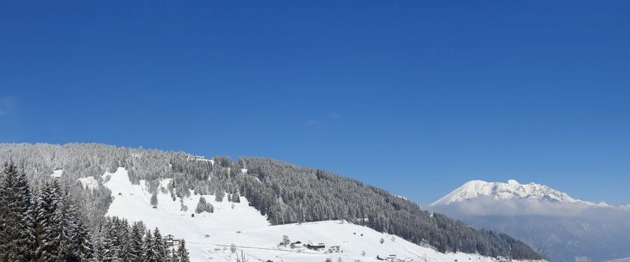 Innsbruck: Christmas Tour with a licensed guide - Nativity scenes with a Tyrolean focus