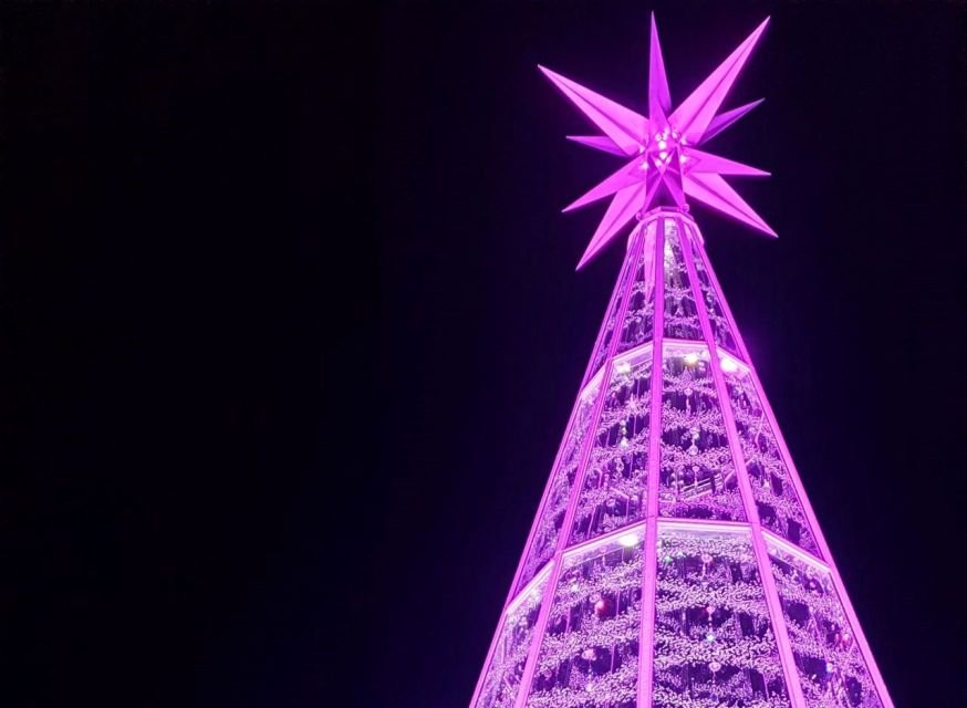 Innsbruck: Christmas Tour with a licensed guide - Who will enjoy this Innsbruck Christmas walk?
