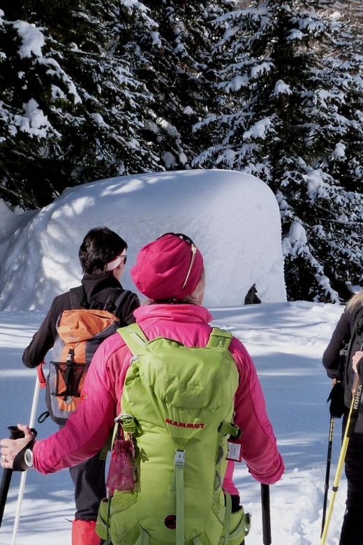 Innsbruck: Priv. Guided Snowy Mountain Hike /Snowshoe´s - A private winter day above Innsbruck
