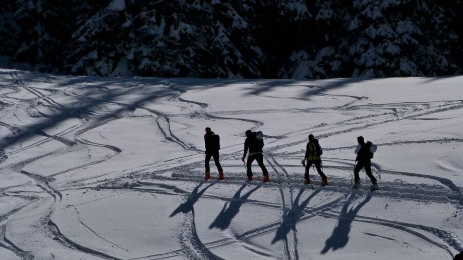 Innsbruck: Priv. Guided Snowy Mountain Hike /Snowshoe´s - Learning to walk in snowshoes