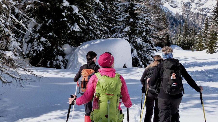 Innsbruck: Priv. Guided Snowy Mountain Hike /Snowshoe´s - Choosing between Hafelekar and Patscherkofel