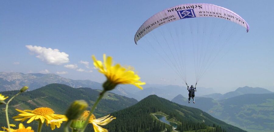 Mayrhofen: Paragliding Flight Experience Over Mountains - Small details that improve the experience