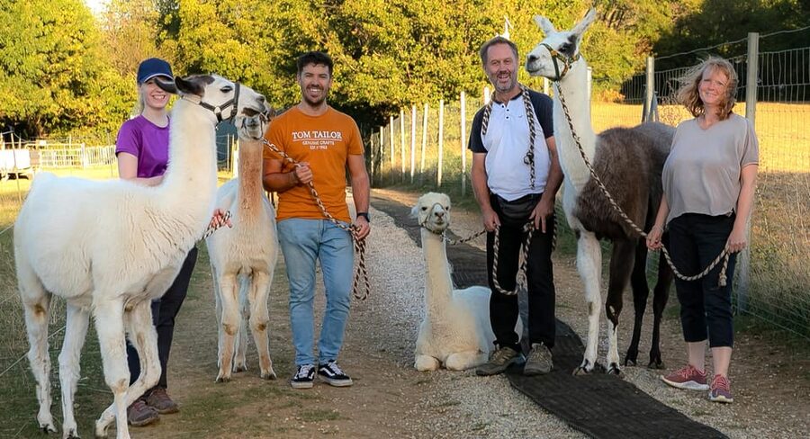 Mödling/Vienna: Scenic Guided Hike with Alpacas and Llamas - Who will enjoy this most?